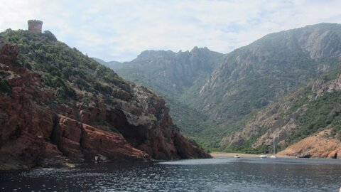 Corse : aux alentours de Calvi., IMG_1853