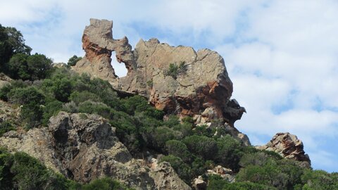 Corse : aux alentours de Calvi., IMG_1855