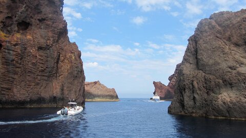 Corse : aux alentours de Calvi., IMG_1860