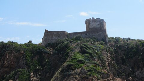 Corse : aux alentours de Calvi., IMG_1868