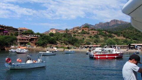 Corse : aux alentours de Calvi., IMG_1873