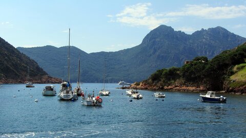 Corse : aux alentours de Calvi., IMG_1874