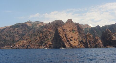 Corse : aux alentours de Calvi., IMG_1878