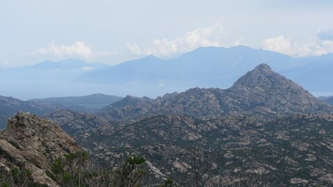 Corse : aux alentours de Calvi., IMG_1880