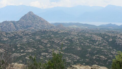 Corse : aux alentours de Calvi., IMG_1881