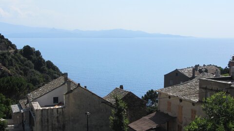 Corse : aux alentours de Calvi., IMG_1886