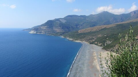 Corse : aux alentours de Calvi., IMG_1890