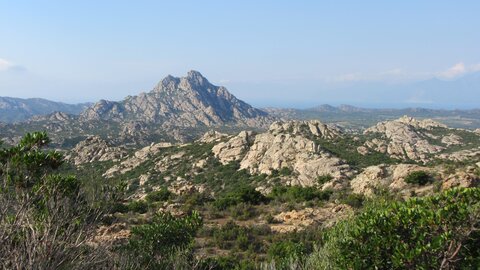 Corse : aux alentours de Calvi., IMG_1892