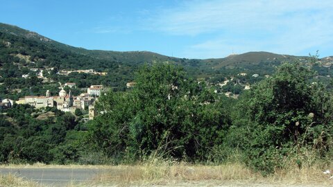 Corse : aux alentours de Calvi., IMG_1896