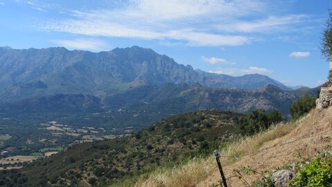 Corse : aux alentours de Calvi., IMG_1897