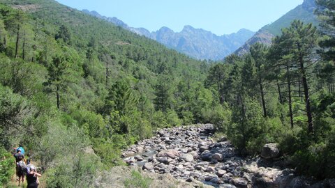 Corse : aux alentours de Calvi., IMG_1922