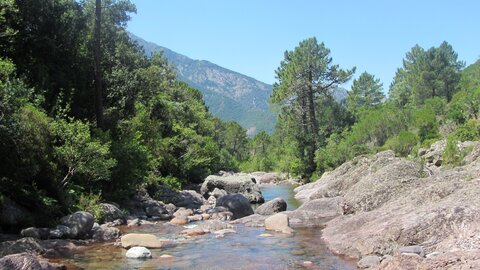 Corse : aux alentours de Calvi., IMG_1926