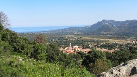 Corse : aux alentours de Calvi., IMG_1934