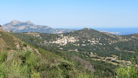 Corse : aux alentours de Calvi., IMG_1935