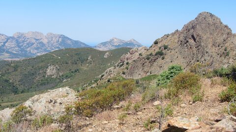 Corse : aux alentours de Calvi., IMG_1937