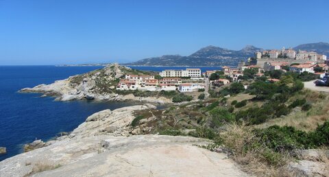 Corse : aux alentours de Calvi., IMG_1939