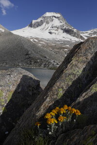 2018-07-18-20-grand-paradis, alpes-aventure-refuge-vittorio-emanuele-2018-07-18-15