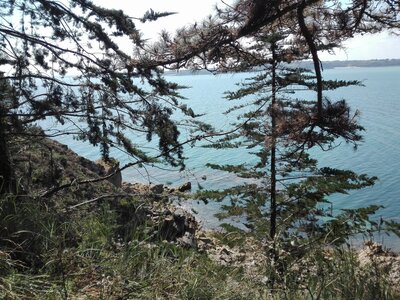 Veillées Chansons Bretagne 2018 Album Anne (de Floriffoux), IMG_20180711_115050