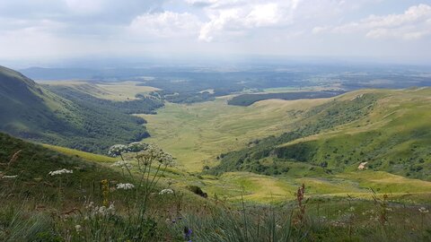 Sancy Capucin, 20180725_120954