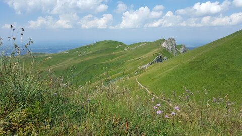 Sancy Capucin, 20180725_121650