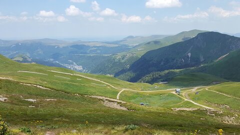 Sancy Capucin, 20180725_132835