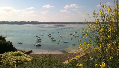 Veillées-Chansons Bretagne 2018 Album Francine, WP_20180711_10_48_38_Pro