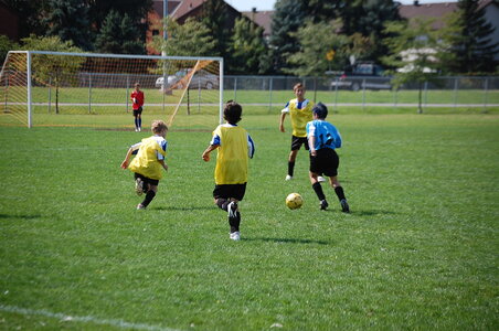 les shinooks - aout 2010 tournois, DSC_0050