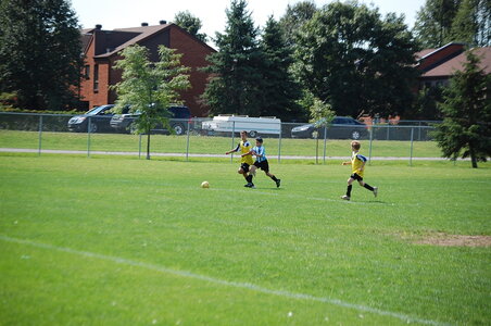les shinooks - aout 2010 tournois, DSC_0058