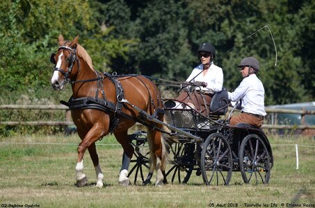 2018-08-05 CCA Tourville les Ilfs - La Renaissance 2018, 01-DSC_6198