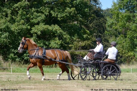 2018-08-05 CCA Tourville les Ilfs - La Renaissance 2018, 01-DSC_6199