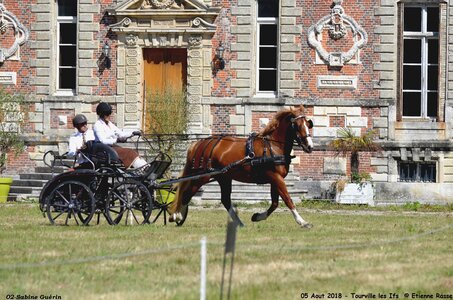 2018-08-05 CCA Tourville les Ilfs - La Renaissance 2018, 01-DSC_6201