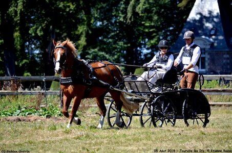 2018-08-05 CCA Tourville les Ilfs - La Renaissance 2018, 01-DSC_6283