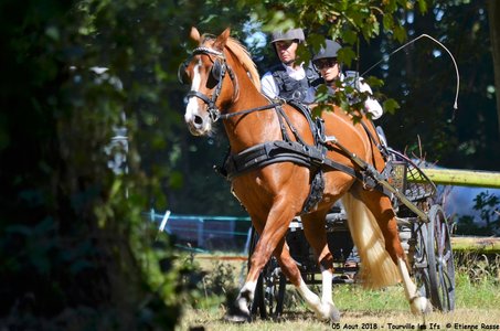 2018-08-05 CCA Tourville les Ilfs - La Renaissance 2018, 01-DSC_6286