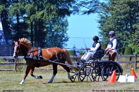 2018-08-05 CCA Tourville les Ilfs - La Renaissance 2018, 01-DSC_6296