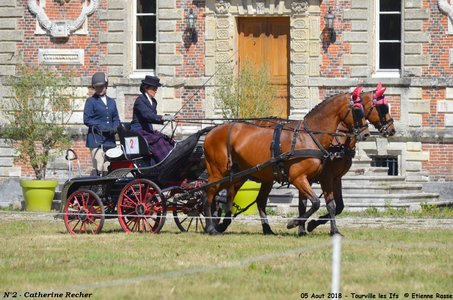 2018-08-05 CCA Tourville les Ilfs - La Renaissance 2018, 02-DSC_6218