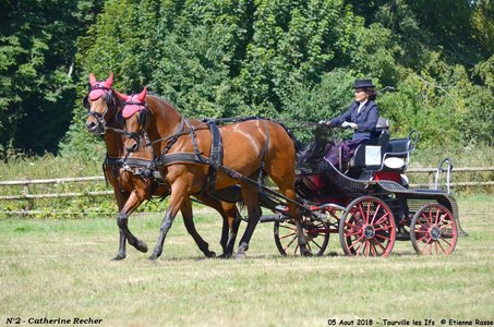 2018-08-05 CCA Tourville les Ilfs - La Renaissance 2018, 02-DSC_6243