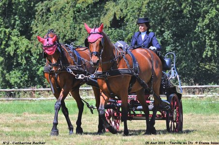 2018-08-05 CCA Tourville les Ilfs - La Renaissance 2018, 02-DSC_6245