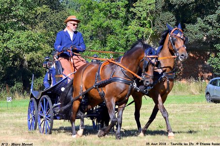 2018-08-05 CCA Tourville les Ilfs - La Renaissance 2018, 03-DSC_6125