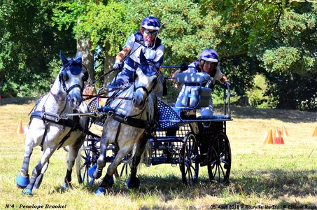 2018-08-05 CCA Tourville les Ilfs - La Renaissance 2018, 04-DSC_6519