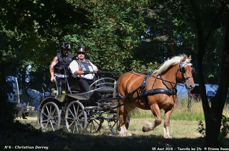 2018-08-05 CCA Tourville les Ilfs - La Renaissance 2018, 06-DSC_6694