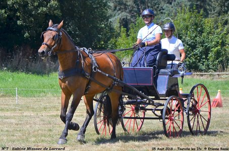 2018-08-05 CCA Tourville les Ilfs - La Renaissance 2018, 07-DSC_6254