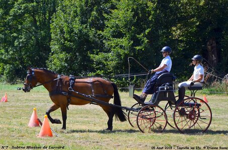 2018-08-05 CCA Tourville les Ilfs - La Renaissance 2018, 07--DSC_6255