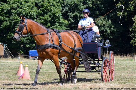 2018-08-05 CCA Tourville les Ilfs - La Renaissance 2018, 08-DSC_6260