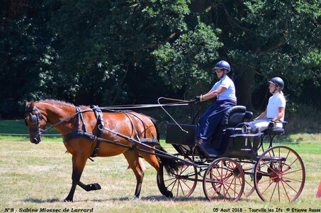 2018-08-05 CCA Tourville les Ilfs - La Renaissance 2018, 08-DSC_6262