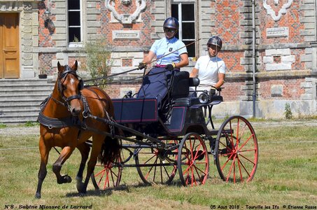 2018-08-05 CCA Tourville les Ilfs - La Renaissance 2018, 08-DSC_6266