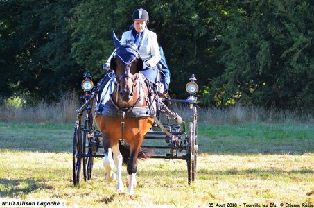 2018-08-05 CCA Tourville les Ilfs - La Renaissance 2018, 10-DSC_6098