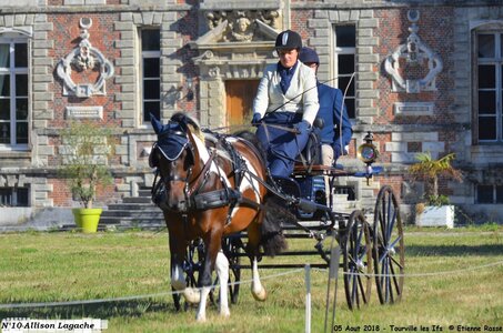 2018-08-05 CCA Tourville les Ilfs - La Renaissance 2018, 10-DSC_6102