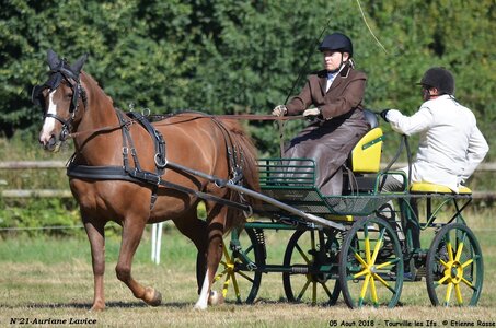 2018-08-05 CCA Tourville les Ilfs - La Renaissance 2018, 21-DSC_6142