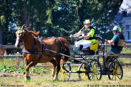 2018-08-05 CCA Tourville les Ilfs - La Renaissance 2018, 21-DSC_6548