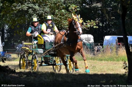 2018-08-05 CCA Tourville les Ilfs - La Renaissance 2018, 21-DSC_6551